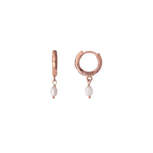 Load image into Gallery viewer, Clam Earrings Rose Gold