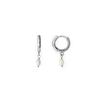 Load image into Gallery viewer, Clam Earrings Silver