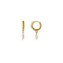 Load image into Gallery viewer, Clam Earrings Gold