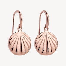 Load image into Gallery viewer, Seashell Earrings Rose Gold