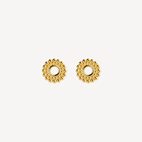Nectar Stud Earrings Gold