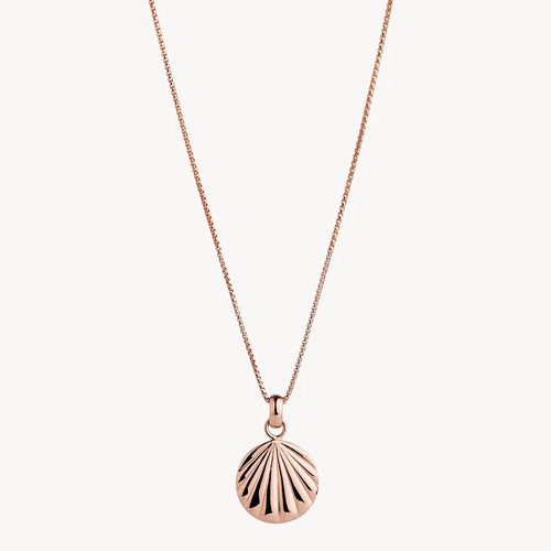 Seashell Pendant Necklace Rose Gold